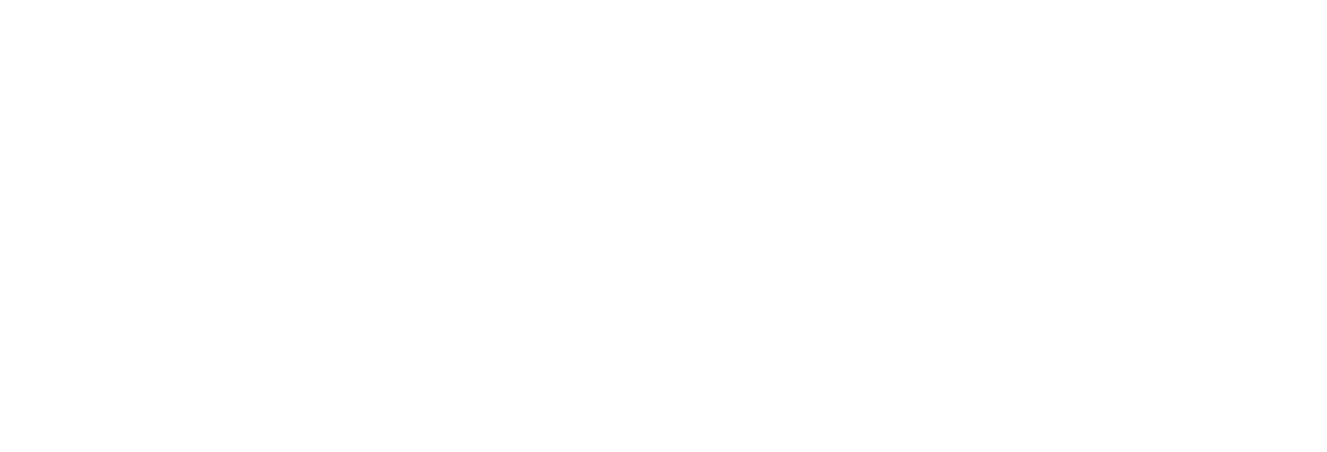 logo home majester copie